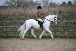 SBM_006032