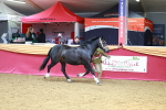 SBM_04372