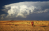 Horse & Storm Clouds1