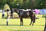 SBM_19293
