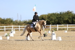 SBM_012528