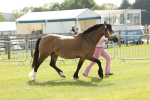 SBM_02071