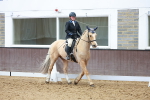 SBM_000903