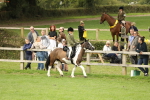 SBM_71570
