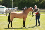 SBM_05591