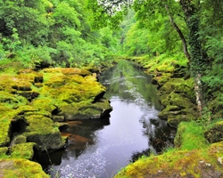 River Wharfe Bolton Abbey Yorkshire NIKON D40X 18mm f56 1-40 iso400