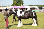 SBM_08825