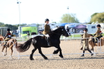 SBM_08756