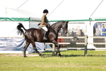 SBM_19232