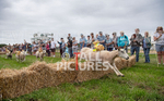 Guernsey Agricultural Show 2021-132