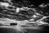 Under Sky