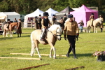 SBM_11118
