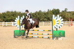SBM_001599