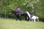 WJ6_1624