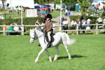 SBM_50403