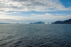 Arctic View