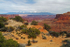 Distant Snowcaps