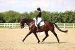 SBM_002257