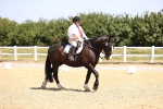 SBM_003623