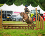 Dunblane show-11