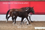 BPP_2118