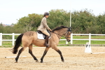 SBM_001427