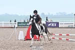 Tuesday 27th CLub and Schools - Only CR, 60cm and some of 70cm portfolio
