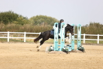 SBM_001283
