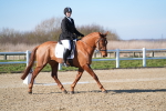 SBM_003353