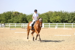 SBM_010241