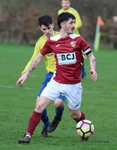 Kendal United vs Hawcoat Park (small selection) portfolio
