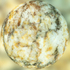 14th July Quartz