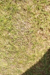 SBM_05476