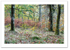 Autumn ♦ THE HERMITAGE