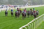 200826-Race 1-Libertango-0205