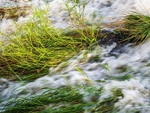 The Weir