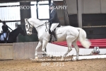 BPP_7311