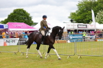 SBM_02598