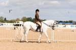 Class 211 - Ridden Hunter - Small portfolio