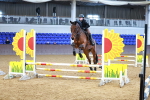 SBM_000236