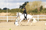 SBM_004293