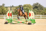 SBM_002306