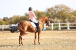 SBM_009165