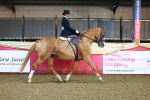 Class D - Grass Roots Champ portfolio