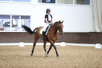 SBM_001864