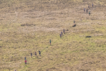 Black Combe-14