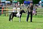 SBM_03545