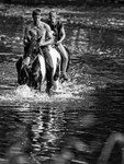 Appleby 002