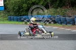 Kart_2010-135