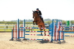 SBM_001698